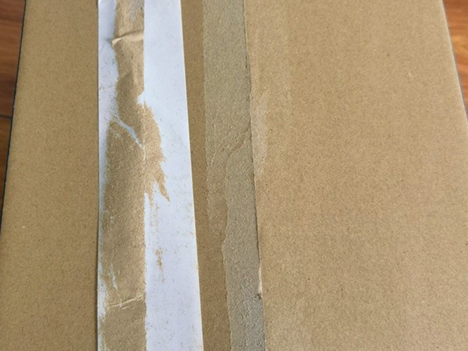 彩色南瓜视频下载APP安卓