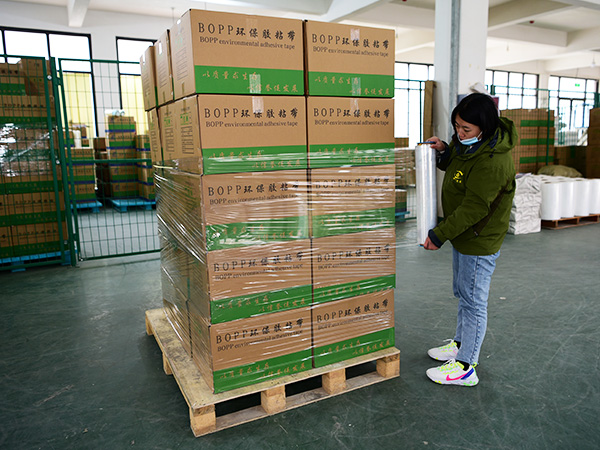 南瓜视频下载APP免费版下载包装南瓜视频在线观看入口打包场景
