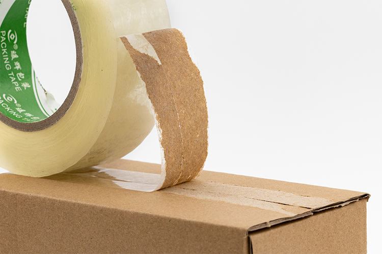 南瓜视频下载APP免费版下载包装