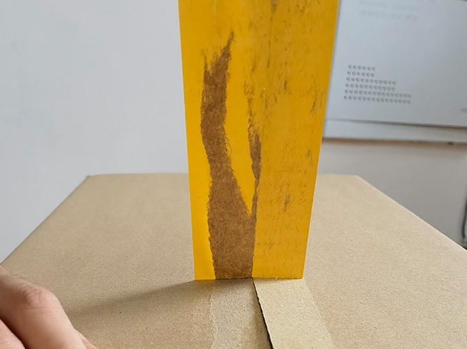 南瓜视频APP在线看污